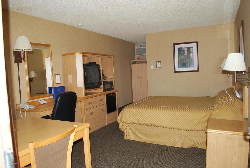 King Room No Pets